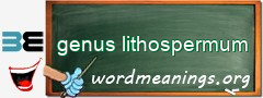 WordMeaning blackboard for genus lithospermum